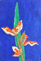 Red Seed of Iris