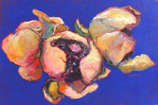 Waterlilies on Blue