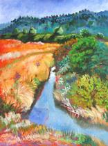 Thistles and Waterway at Padilla Bay